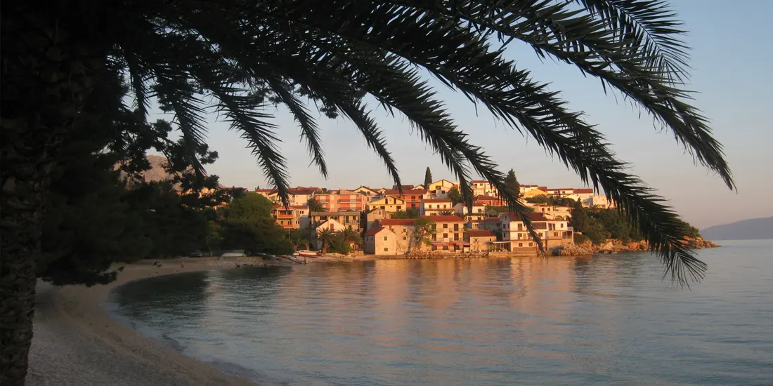Podaca